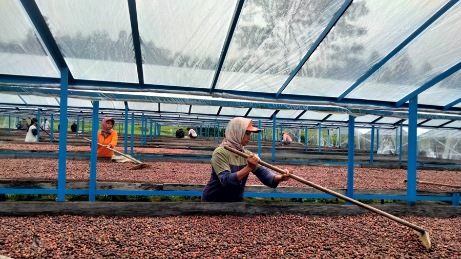 Sulawesi Rantekarua