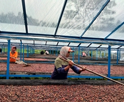 Sulawesi Rantekarua