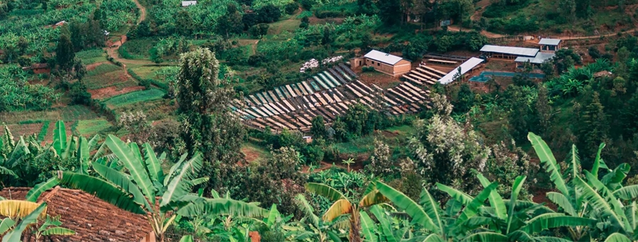 Rwanda Bumbogo