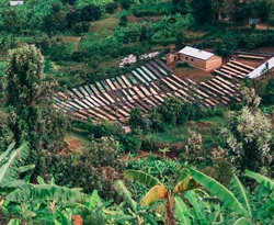 Rwanda Bumbogo
