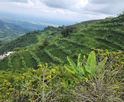 Kolumbia John Hurtado
