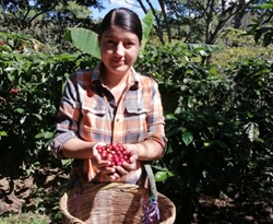 Honduras Dariela Mancia - NOWOŚĆ