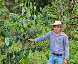 Peru Marcelino Chinguel