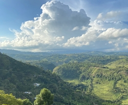 Kolumbia Milton Ortega